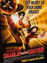 Shaolin Soccer (2001) Dual Audio {Hindi-Chinese} Bluray 480p || 720p || 1080p