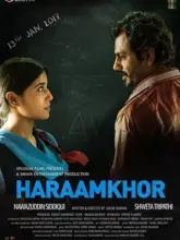 Haraamkhor (2015) Hindi Full Movie 480p | 720p