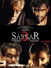 Sarkar 3 (2017) Hindi Full Movie 480p | 720p | 1080p