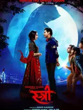 Stree (2018) Hindi Full Movie 480p | 720p | 1080p