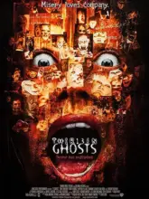 Thir13en Ghosts (2001) Dual Audio {Hindi-English} 480p | 720p