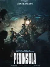 Train to Busan 2: Peninsula (2020) Dual Audio {Hindi-Korean} 480p | 720p | 1080p