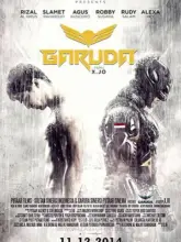 Garuda Superhero (2015) Dual Audio {Hindi-English} 480p | 720p | 1080p