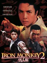 Iron Monkey 2 (1996) Dual Audio {Hindi-English} 480p | 720p