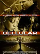 Cellular (2004) Dual Audio {Hindi-English} 480p | 720p | 1080p