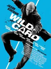 Wild Card (2015) Dual Audio {Hindi-English} 480p | 720p | 1080p