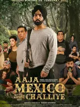 Aaja Mexico Challiye (2022) Punjabi Full Movie 480p | 720p | 1080p