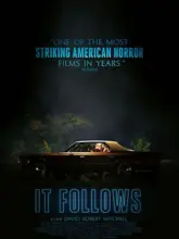 It Follows (2014) Dual Audio {Hindi-English} 480p | 720p | 1080p