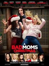 A Bad Moms Christmas (2017) Dual Audio {Hindi-English} 480p | 720p | 1080p