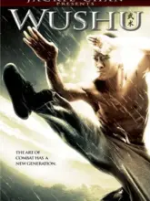 Jackie Chan Presents: Wushu (2008) Dual Audio {Hindi-English} 480p | 720p | 1080p