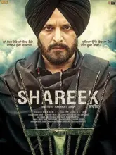 Shareek (2015) HDRip Punjabi Full Movie 480p | 720p | 1080p