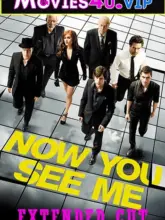 Now You See Me (2013) BluRay Dual Audio {Hindi-English} 480p | 720p | 1080p