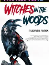 Witches In The Woods (2019) Dual Audio {Hindi-English} 480p | 720p | 1080p