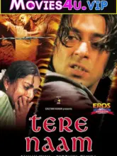 Tere Naam (2003) Hindi Full Movie 480p | 720p | 1080p