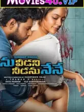 Main Hoon Sarfira – Ninu Veedani Needanu Nene (2022) HDRip ORG. Dual Audio Full Movie 480p | 720p | 1080p