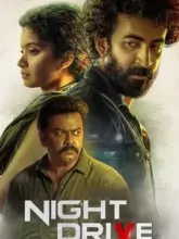 Night Drive (2022) Dual Audio WeB-DL 480p | 720p | 1080p