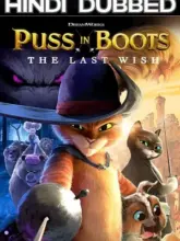 Puss in Boots: The Last Wish (2022) Dual Audio {Hindi + English } AMZN BluRay 480p | 720p | 1080p