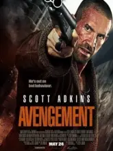 Avengement (2019) Dual Audio {Hindi-English} 480p | 720p | 1080p