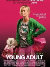 Young Adult (2011) Dual Audio {Hindi-English} 480p | 720p | 1080p