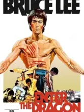 Enter the Dragon (1973) Dual Audio {Hindi-English} 480p | 720p | 1080p