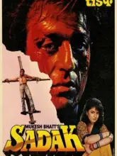 Sadak (1991) Hindi Full Movie 480p | 720p | 1080p