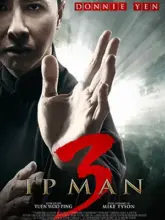 Ip Man 3 (2015) BluRay Hindi Dubbed Full Movie 480p | 720p | 1080p