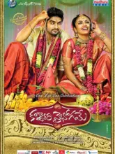 Kalyana Vaibhogame (2016) UNCUT Dual Audio WEB-DL 480p | 720p | 1080p