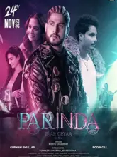 Parinda Paar Geyaa (2023) Punjabi Movie CHTV WEB-DL 480p | 720p | 1080p