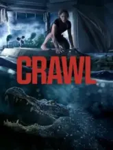 Crawl (2019) Dual Audio {Hindi-English} 480p | 720p | 1080p BluRay