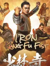 Iron Kung Fu Fist (2020) WEB-DL Multi Audio {Hindi + Chinese + Tamil + Telugu} 480p | 720p | 1080p