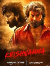 Krishnamma (2024) WEB-DL Multi Audio Full Movie 480p | 720p | 1080p