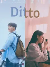 Ditto (2022) WEB-DL Multi Audio 480p | 720p | 1080p