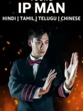 Young Ip Man: Crisis Time (2020) WEB-DL Multi Audio {Hindi + Chinese + Tamil + Telugu} 480p | 720p | 1080p