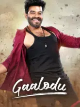 Gaalodu (2022) WEB-DL Dual Audio Full Movie 480p | 720p | 1080p