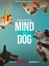 Inside The Mind Of A Dog – Netflix Original (2024) WEB-DL Dual Audio {Hindi-English} 480p | 720p | 1080p