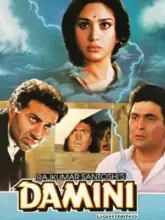 Damini (1993) WEB-DL Hindi Full Movie 480p | 720p | 1080p