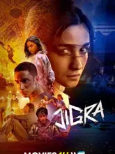 Jigra (2024) Hindi {ORG Line} Full Movie HDTS 480p | 720p | 1080p